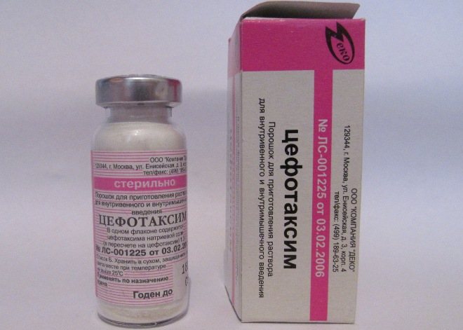 Антибиотик Цефотаксим