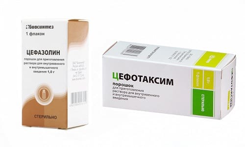 цефотаксим или цефазолин