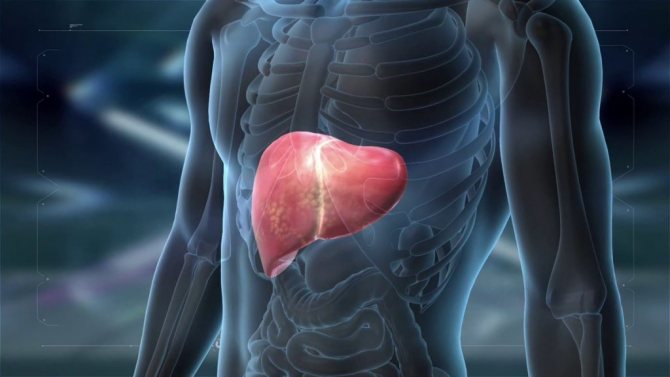 Что такое лимфаденопатия ворот печени и почему увеличиваются лимфоузлы?