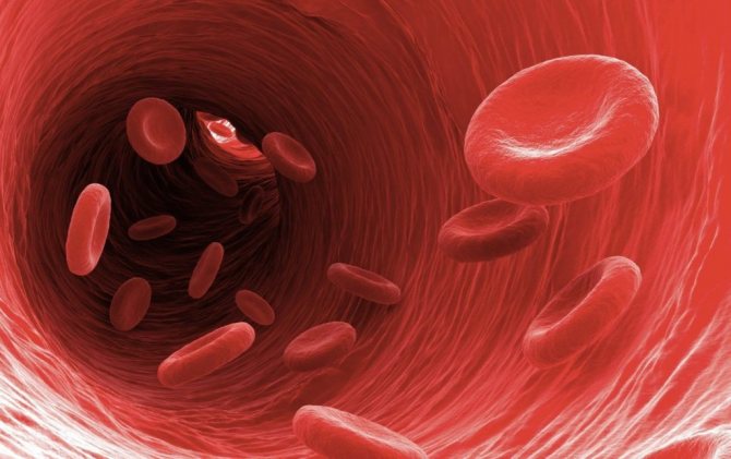 Эритроциты в сосуде
