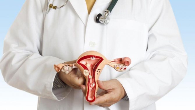 фурама аналоги состав