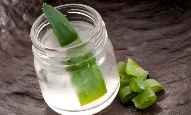 Лист алоэ в баночке