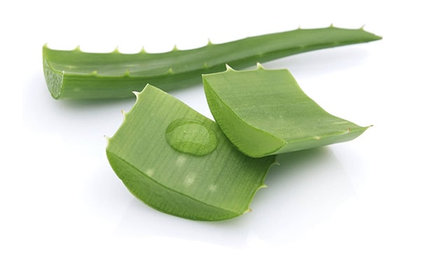 Лист алоэ