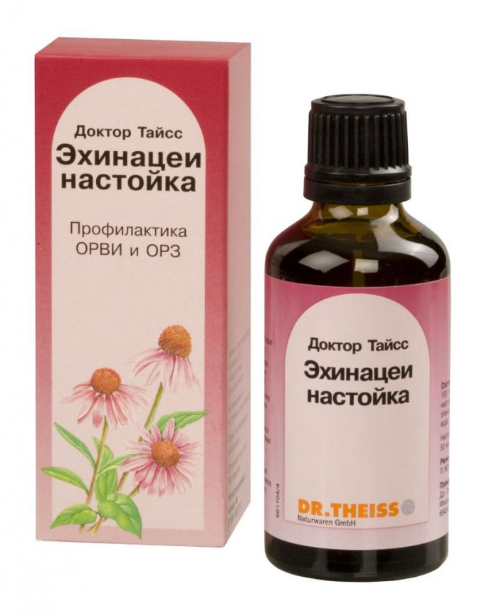 настойка эхинацеи
