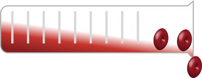 Общий анализ крови: норма, таблица, расшифровка