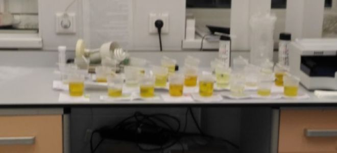 Расшифровка анализа мочи по методу Реберга