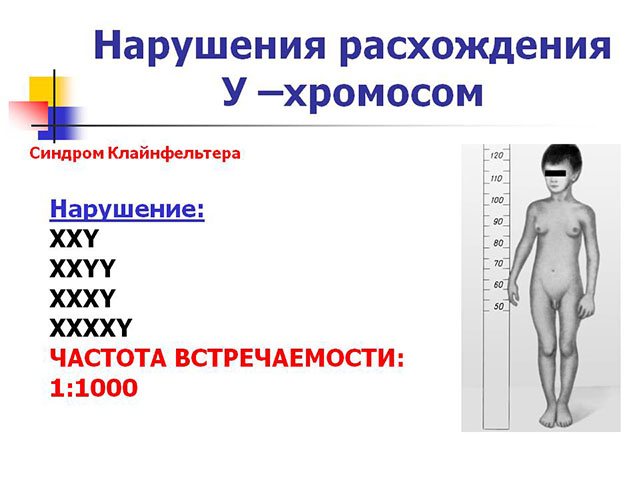 Схематический рисунок