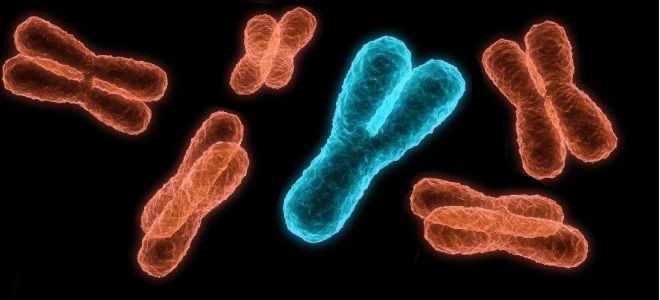 Синдром Клайнфельтера причины возникновения