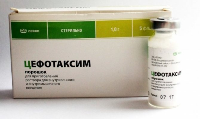 Свойства Цефотаксима